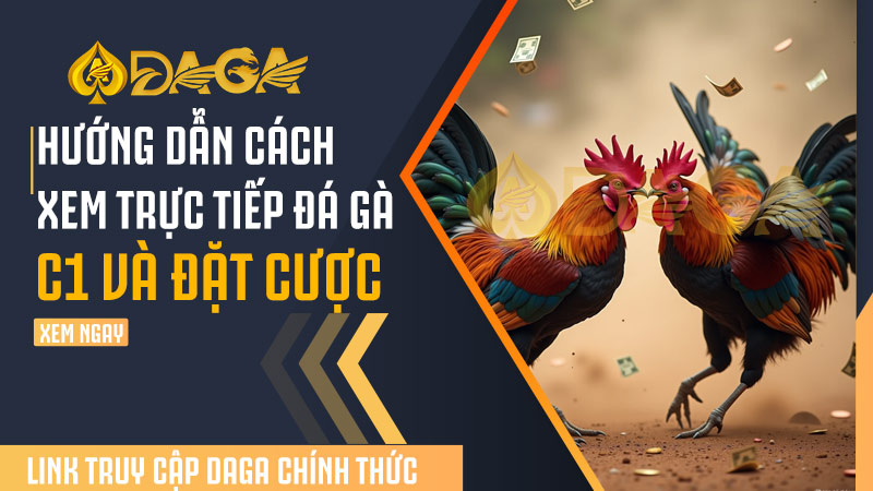 Hướng dẫn cách xem trực tiếp đá gà C1 và đặt cược
