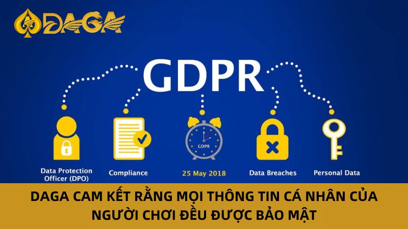 Chính Sách Quyền Riêng Tư Daga Bảo Vệ Thông Tin Người Chơi 8 Cam kết về chính sách quyền riêng tư daga