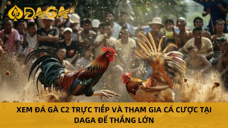 Đá gà trực tiếp c2 tại daga
