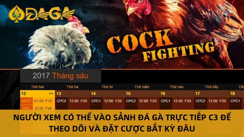 Ưu điểm khi xem đá gà trực tiếp C3