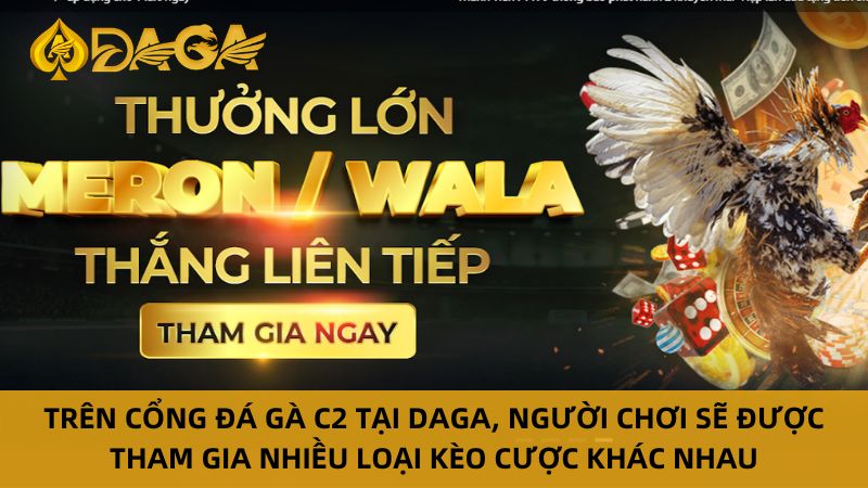 Xem đá gà trực tiếp c2