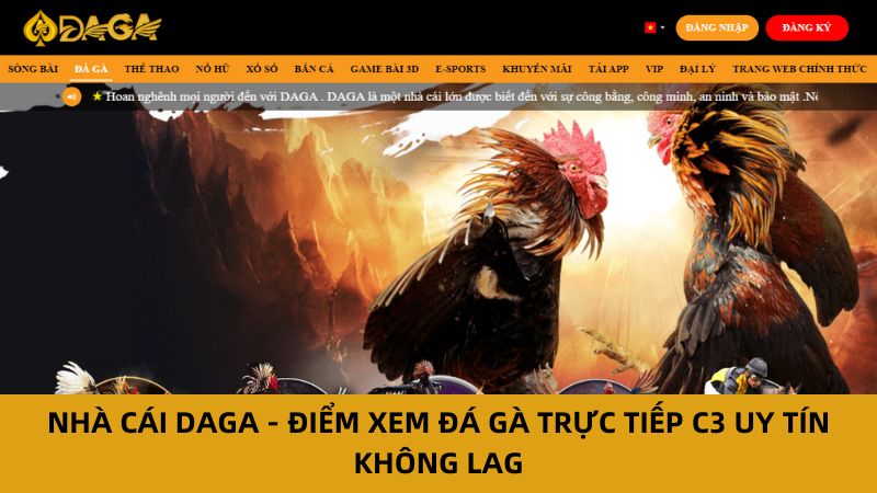 Xem đá gà trực tiếp C3 tại nhà cái daga