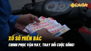 Xổ số miền Bắc - Chinh phục vận may, thay đổi cuộc sống!