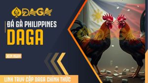 Trải nghiệm xem đá gà philippines tại DAGA