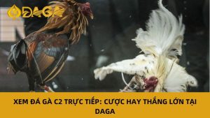 Đá gà c2 trực tiếp