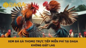 Xem Đá Gà Thomo Trực Tiếp Miễn Phí Tại Daga Không Giật Lag